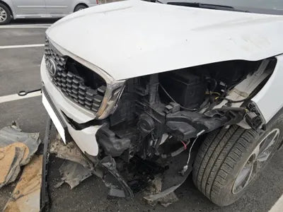 2019 Kia Sorento KNAPG81BDKA540068 VIN:KNAPG81BDKA540068
