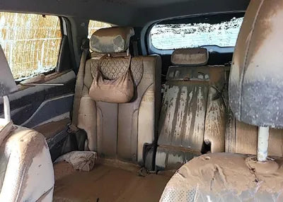 2019 Hyundai Santa FE KMHS381ADKU132219 VIN:KMHS381ADKU132219
