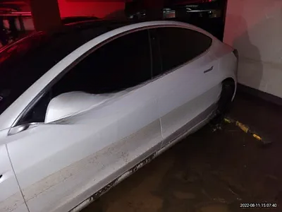 2020 Tesla Model 3 NONE VIN: