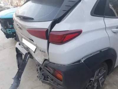 2020 Hyundai Kona KMHK381EGLU036344 VIN:KMHK381EGLU036344