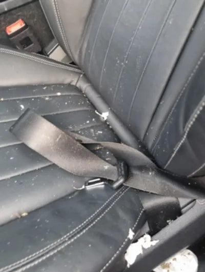 2019 Mercedes-Benz E 220 WDDZF0EBXKA668231 VIN:WDDZF0EBXKA668231