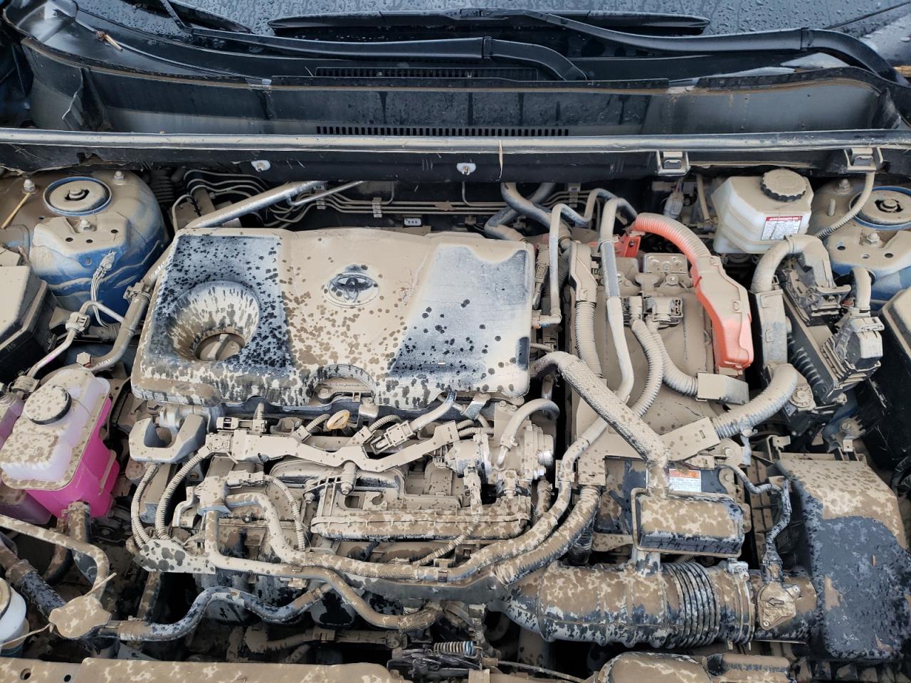 2023 TOYOTA RAV4 XSE VIN:4T3E6RFV3PU105956