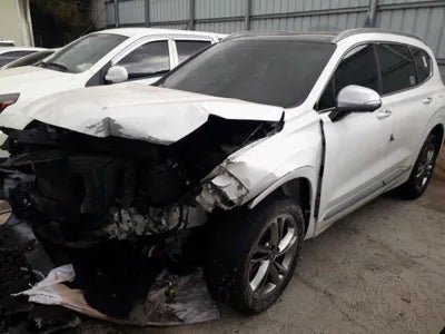 2019 Hyundai Santa FE KMHS581CDLU237680 VIN:KMHS581CDLU237680