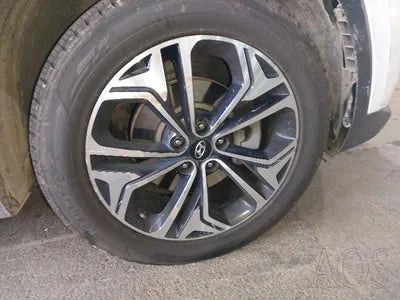 2019 Hyundai Santa FE KMHS281CDKU088684 VIN:KMHS281CDKU088684