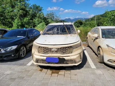2021 Kia Sorento KNARK81GBMA041859 VIN:KNARK81GBMA041859