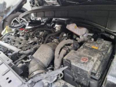 2021 Kia Sorento KNARF81BGMA073589 VIN:KNARF81BGMA073589