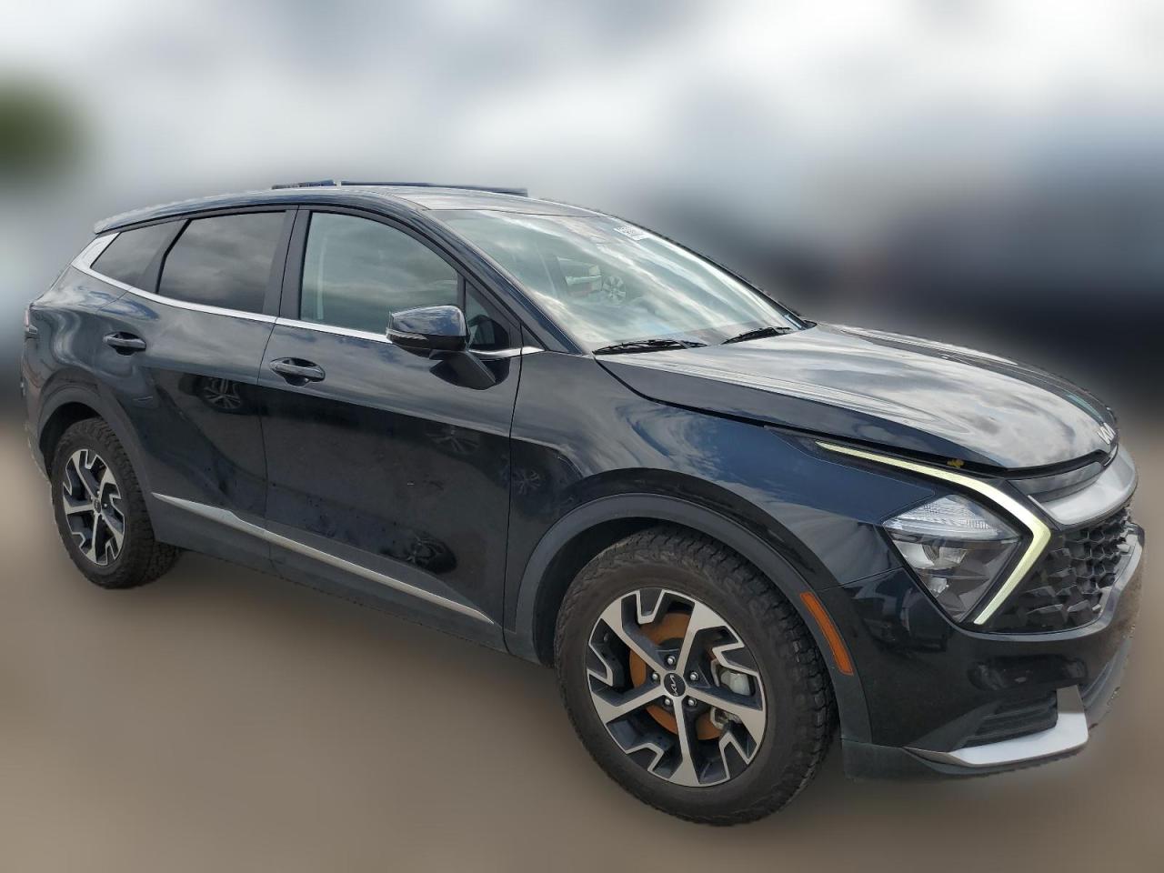 2023 KIA SPORTAGE EX VIN:5XYK33AF9PG004556
