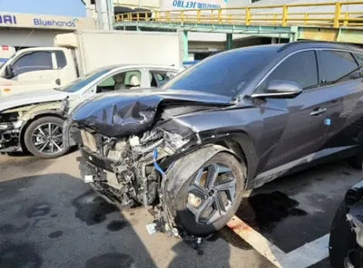 2021 Hyundai Tucson KMHJE81CBMU005759 VIN:KMHJE81CBMU005759