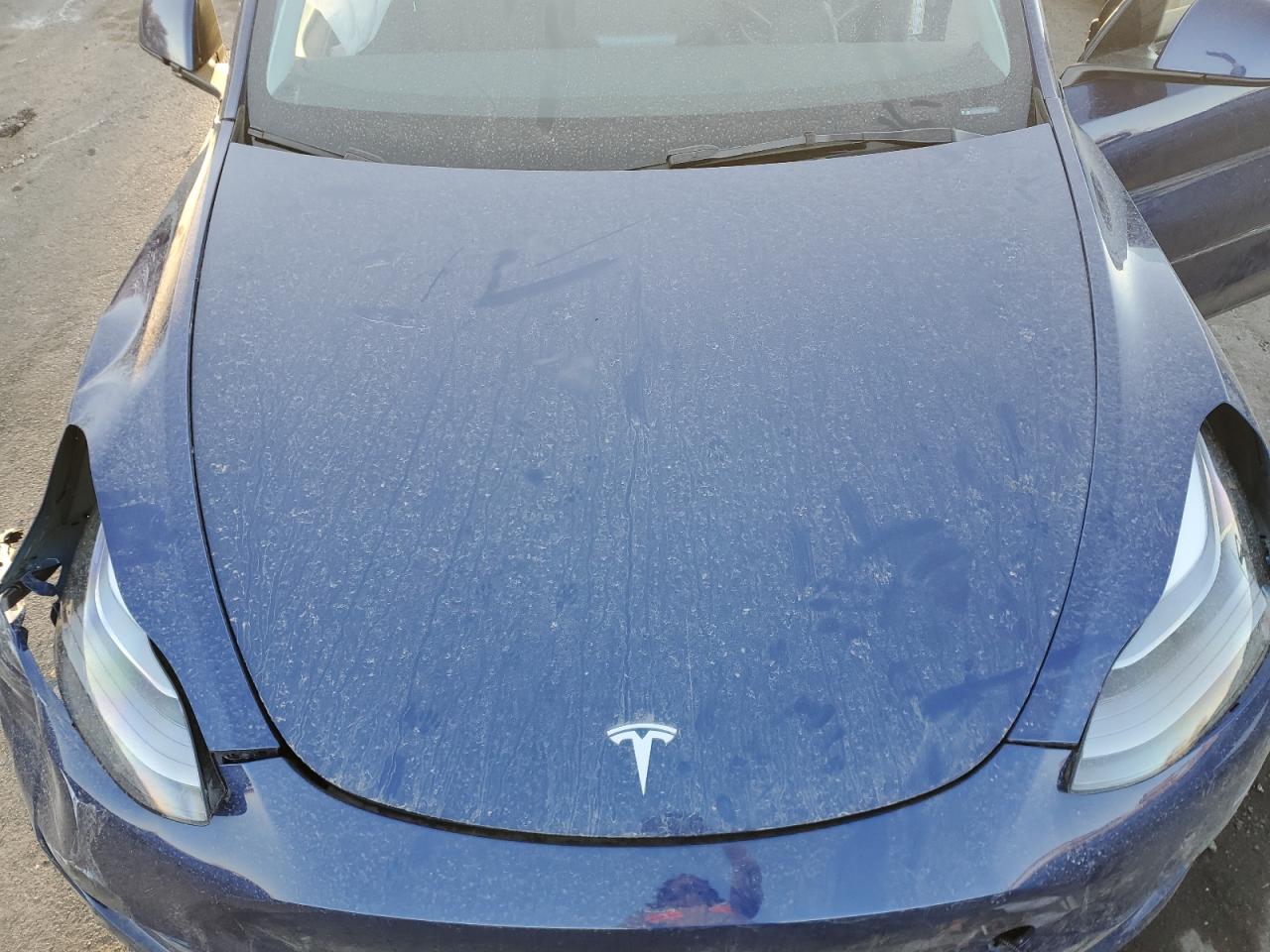 2023 TESLA MODEL Y  VIN:7SAYGDEE2PA193399