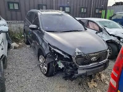 2017 Kia Sorento KNAPH81ABHA305393 VIN:KNAPH81ABHA305393