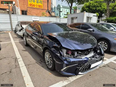 2021 Lexus ES 300 JTHBA1C15N2007827 VIN:JTHBA1C15N2007827