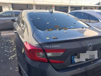 2021 Honda Accord 1HGCV1650MA510417 VIN:1HGCV1650MA510417