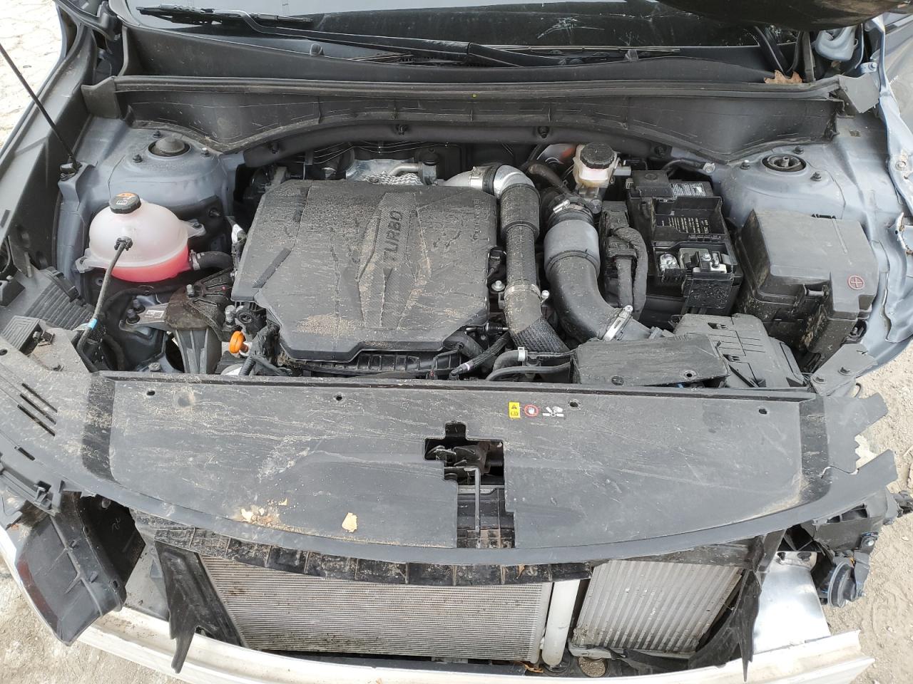 2023 KIA SORENTO SX VIN:5XYRKDLF3PG169779