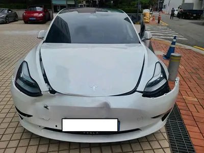 2020 Tesla Model 3 5YJ3E1EB0LF733542 VIN:5YJ3E1EB0LF733542