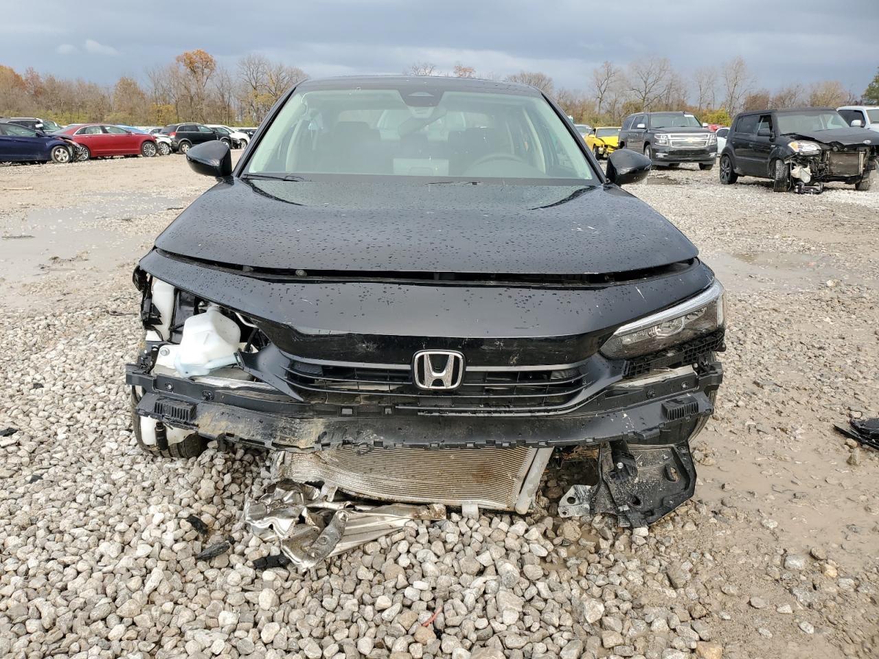 2024 HONDA CIVIC EX VIN:2HGFE1F79RH337007