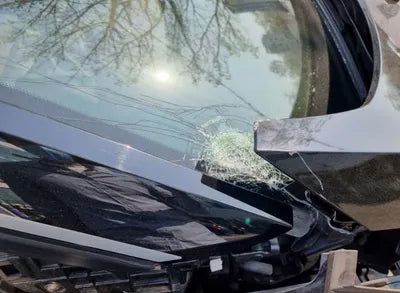 2019 BMW 120 WBY8P2103K7D97272 VIN:WBY8P2103K7D97272