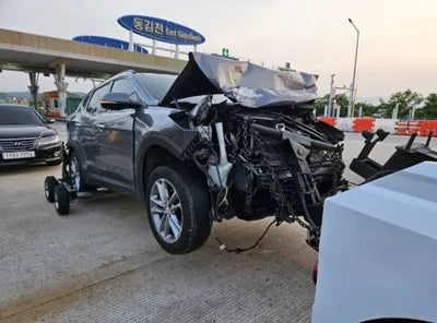 2016 Hyundai Santa FE KMHSW81XDGU530280 VIN:KMHSW81XDGU530280