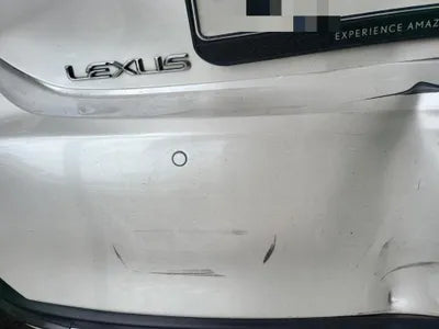 2019 Lexus ES 300 VIN: