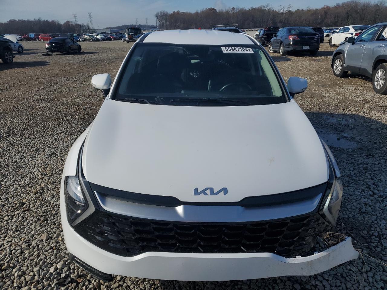 2023 KIA SPORTAGE EX VIN:5XYK33AF3PG036273