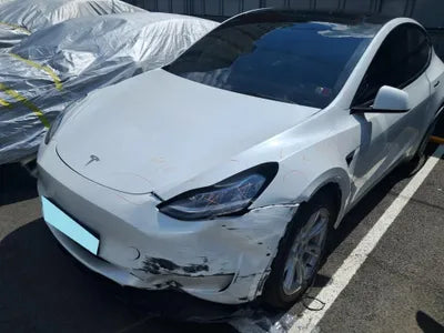 2021 Tesla Model Y 5YJYGDED1MF172000 VIN:5YJYGDED1MF172000