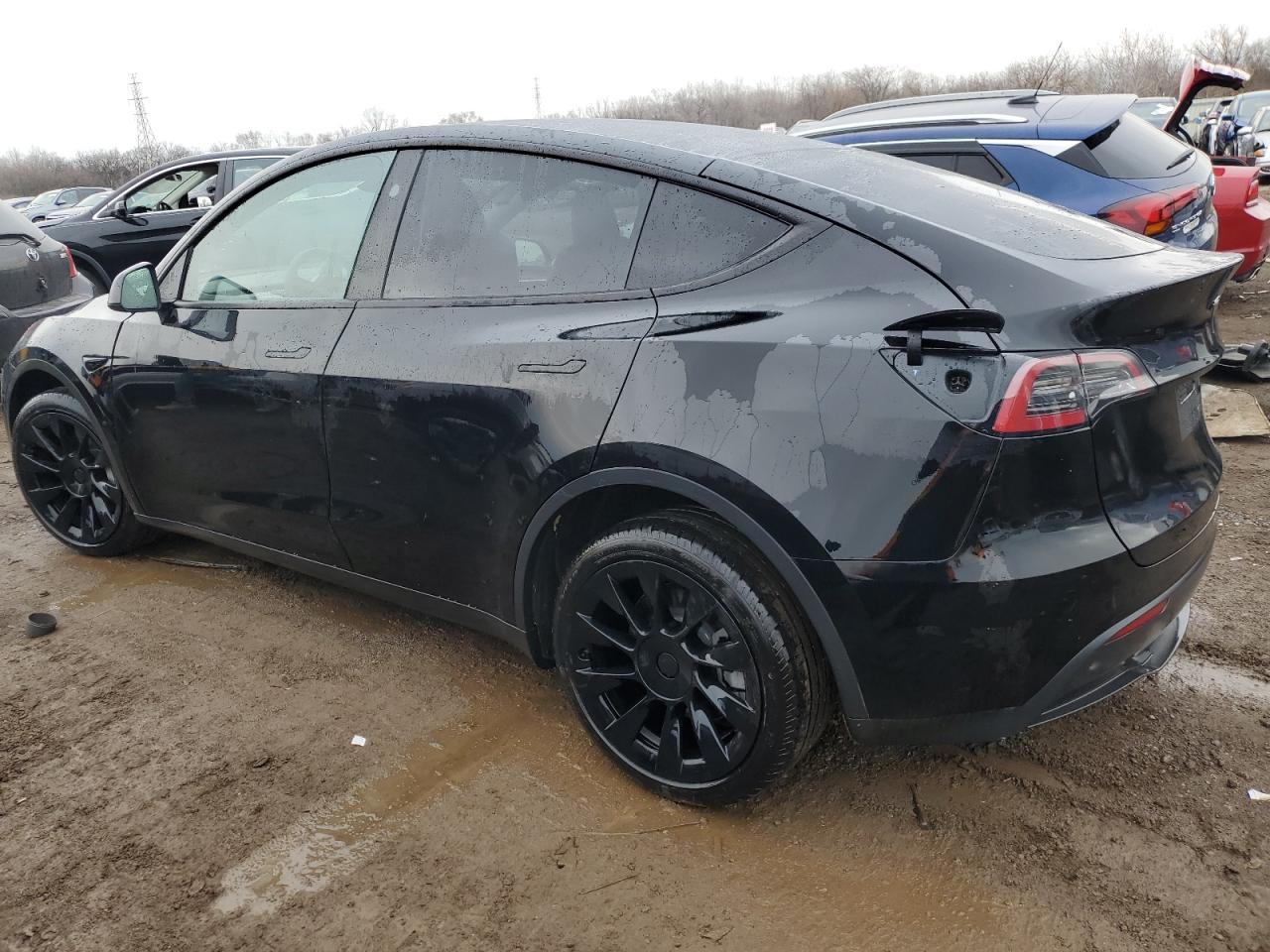 2024 TESLA MODEL Y  VIN:7SAYGDED2RF006210