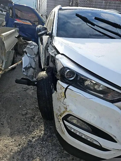 2017 Hyundai Tucson KMHJ381ABHU302085 VIN:KMHJ381ABHU302085