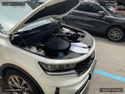 2022 Kia Sorento KNARF81BHNA163046 VIN:KNARF81BHNA163046
