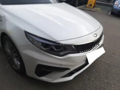 2019 Kia K5 KNAGW411BKA325878 VIN:KNAGW411BKA325878