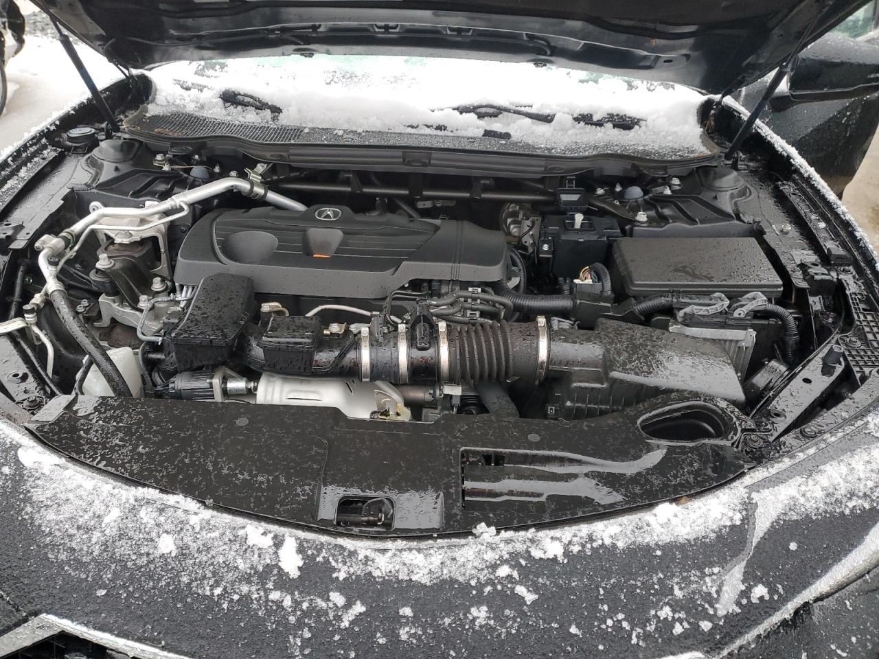 2023 ACURA TLX  VIN:19UUB5F3XPA001687