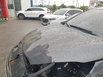 2019 Kia Sorento 187KMKNAPF81BBKA5 VIN:187KMKNAPF81BBKA5