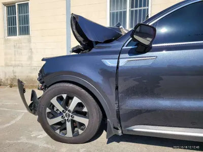 2021 Kia Sorento KNARH81BGMA057928 VIN:KNARH81BGMA057928