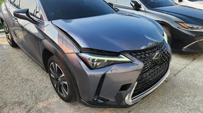 2019 Lexus UX 250 JTHU9JBH4K2002923 VIN:JTHU9JBH4K2002923