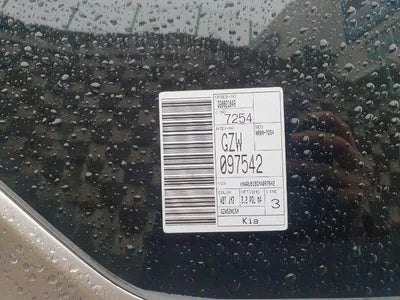 2021 Kia Sorento KNARL81BGMA097542 VIN:KNARL81BGMA097542