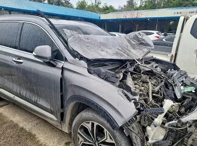 2019 Hyundai Santa FE KMHS381CBKU017002 VIN:KMHS381CBKU017002