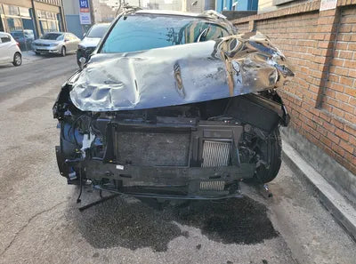 2019 Hyundai Santa FE KMHS381CDKU052076 VIN:KMHS381CDKU052076