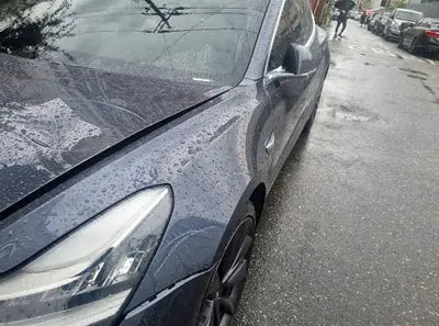 2020 Tesla Model 3 5YJ3E1EC9LF756312 VIN:5YJ3E1EC9LF756312