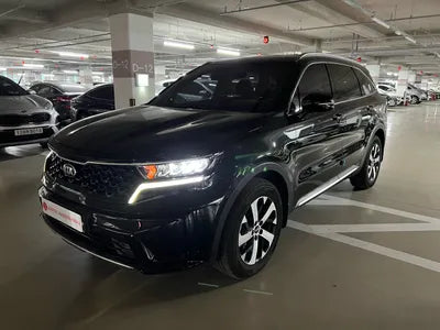 2021 Kia Sorento KNARL81BGMA077073 VIN:KNARL81BGMA077073