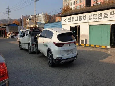 2020 Kia Sportage KNAPL812GLK847223 VIN:KNAPL812GLK847223