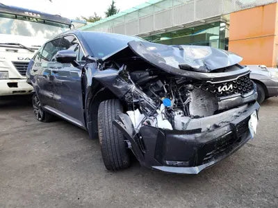 2023 Kia Sorento KNARH81GBPA197829 VIN:KNARH81GBPA197829