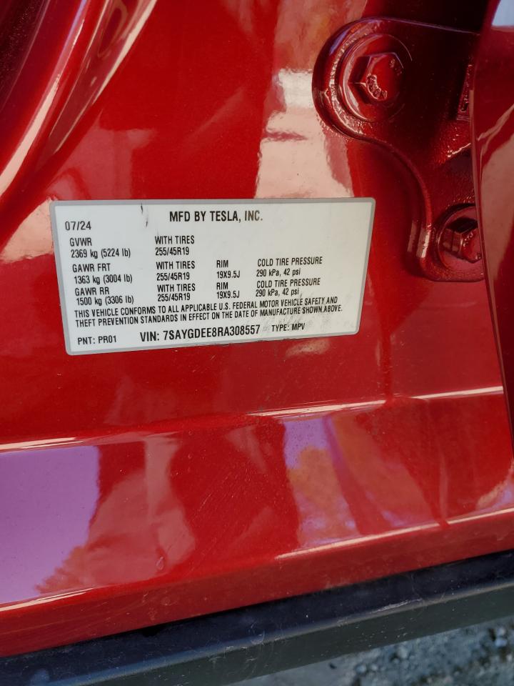 2024 TESLA MODEL Y  VIN:7SAYGDEE8RA308557