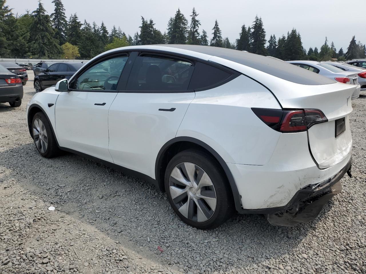 2023 TESLA MODEL Y  VIN:7SAYGDEE9PF910951