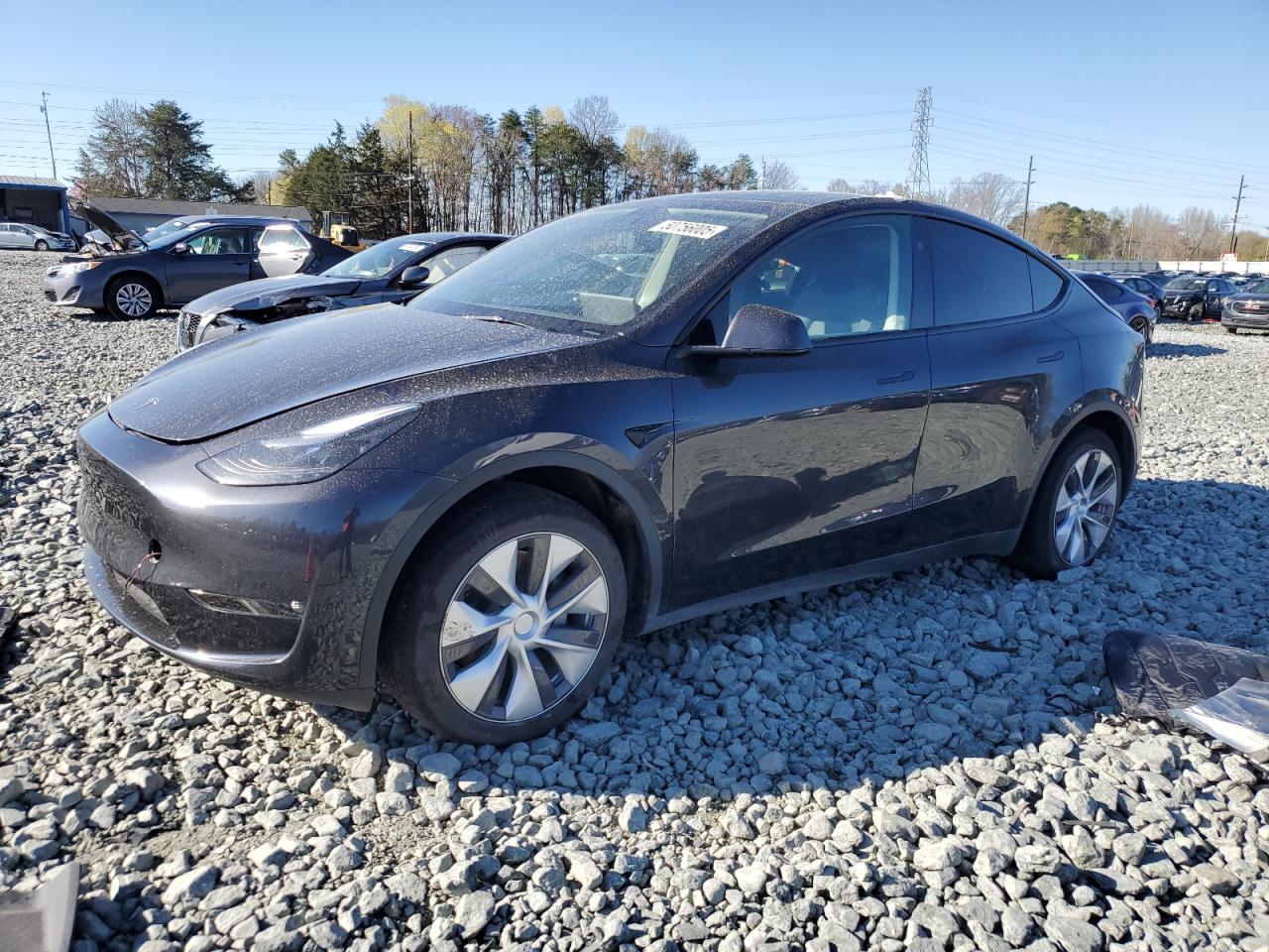 2024 TESLA MODEL Y  VIN:7SAYGDEE8RF992870