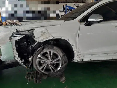 2019 Hyundai Santa FE KMHS581ABLU247207 VIN:KMHS581ABLU247207