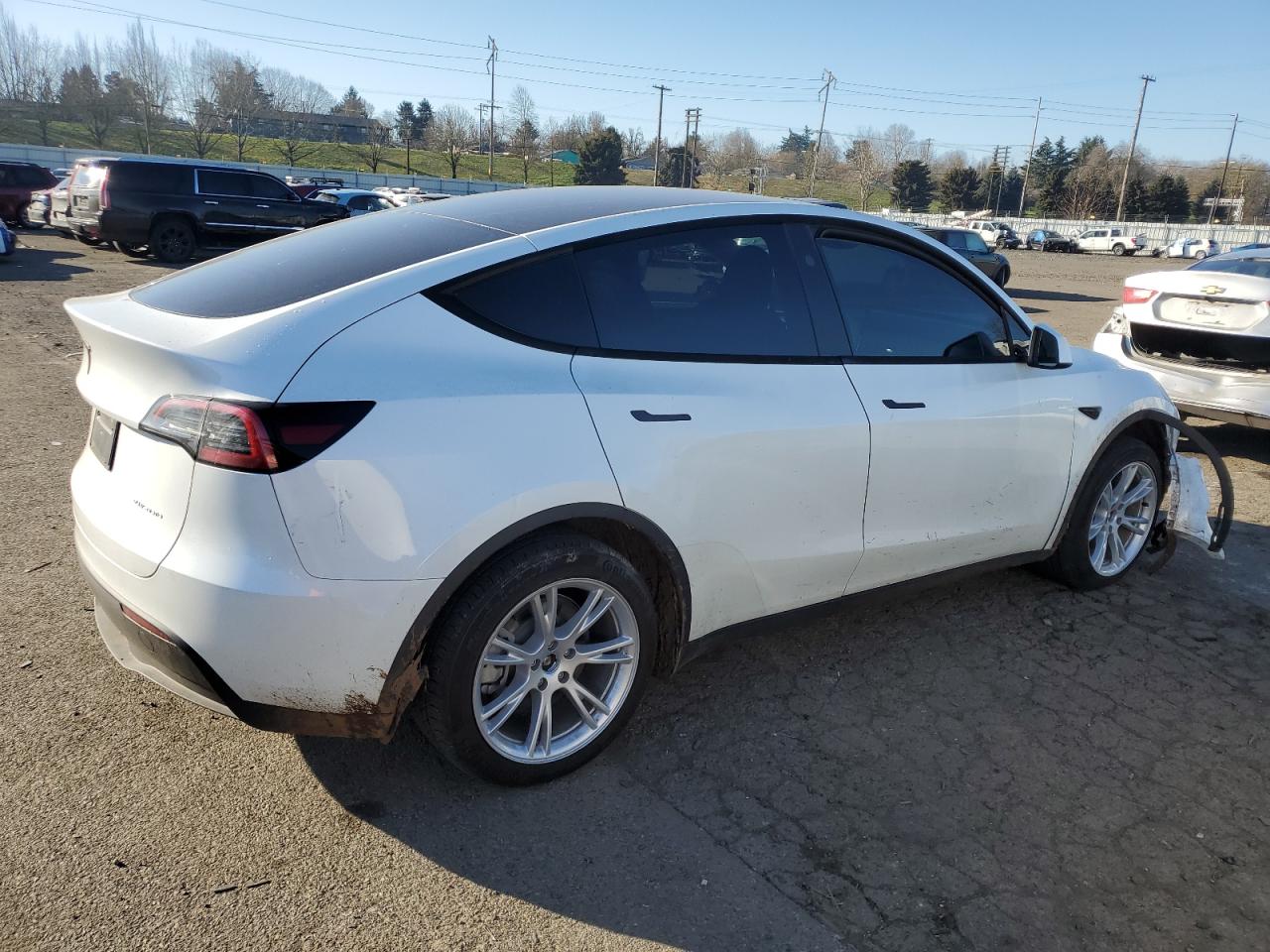 2024 TESLA MODEL Y  VIN:7SAYGDEE0RF044320