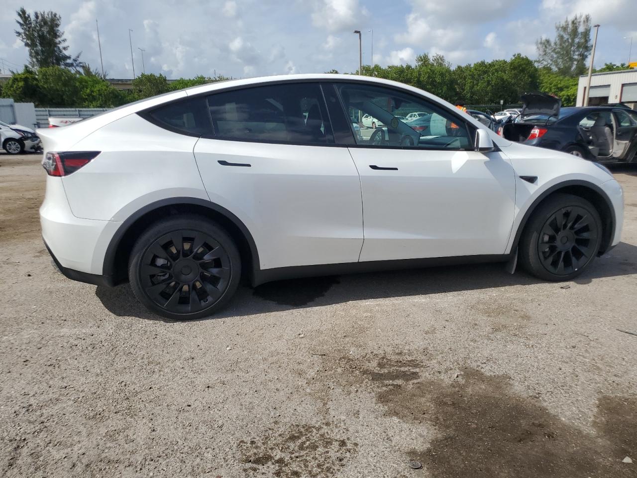 2023 TESLA MODEL Y  VIN:7SAYGDEE3PA166101