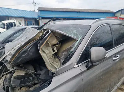 2019 Hyundai Santa FE KMHS381CBKU017002 VIN:KMHS381CBKU017002