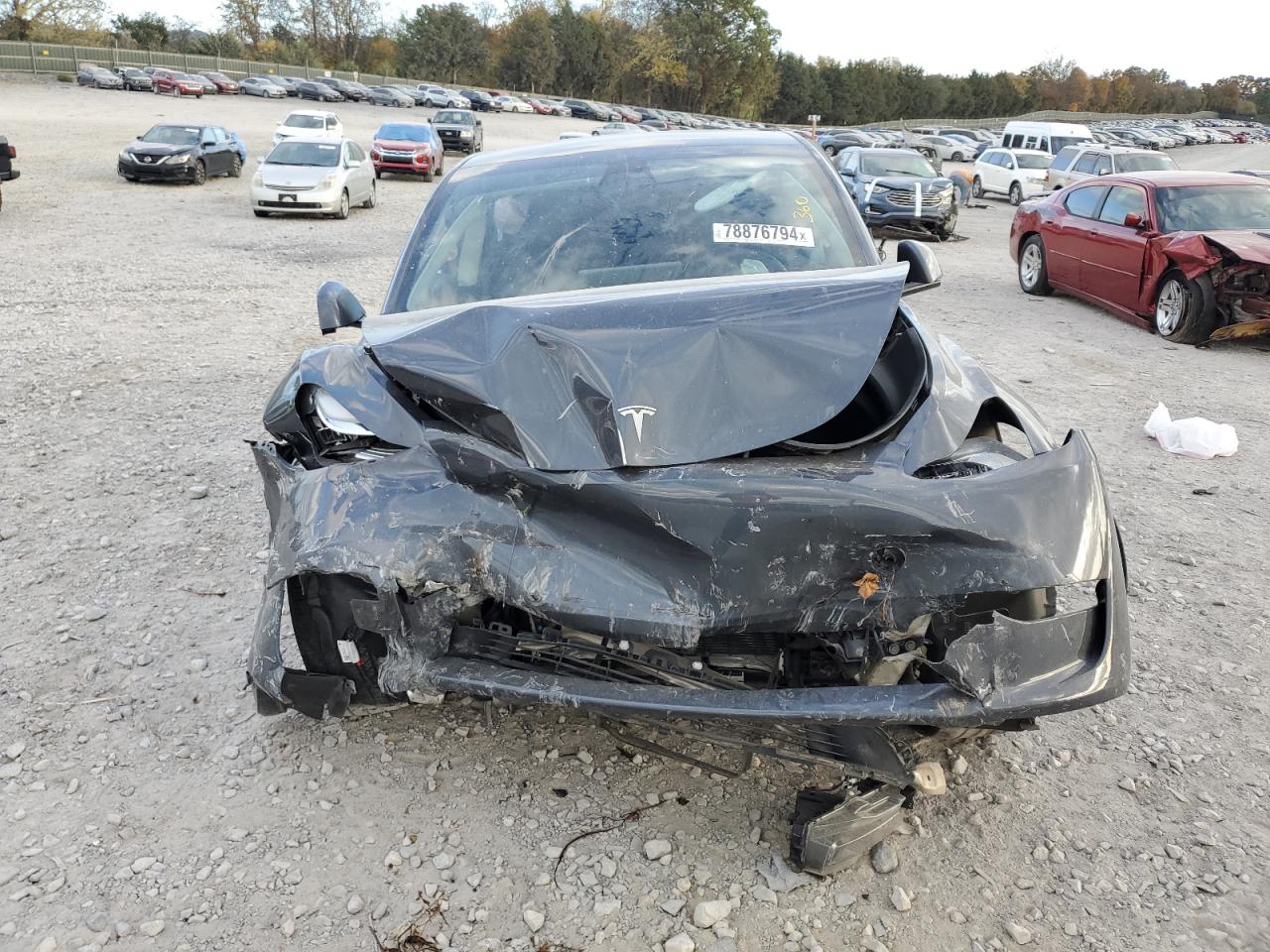 2023 TESLA MODEL Y  VIN:7SAYGDEF1PA048993