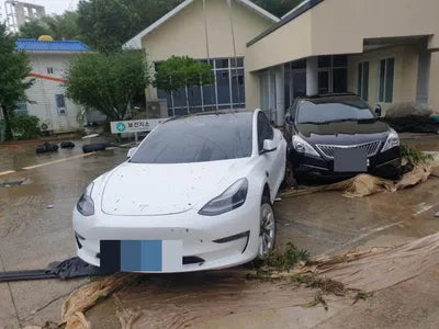 2021 Tesla Model 3 5YJ3E1EB4MF892162 VIN:5YJ3E1EB4MF892162
