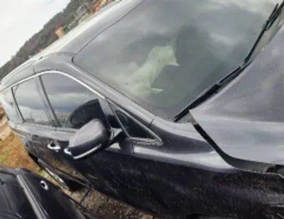 2020 Kia Carnival KNAMC81ABLS661529 VIN:KNAMC81ABLS661529