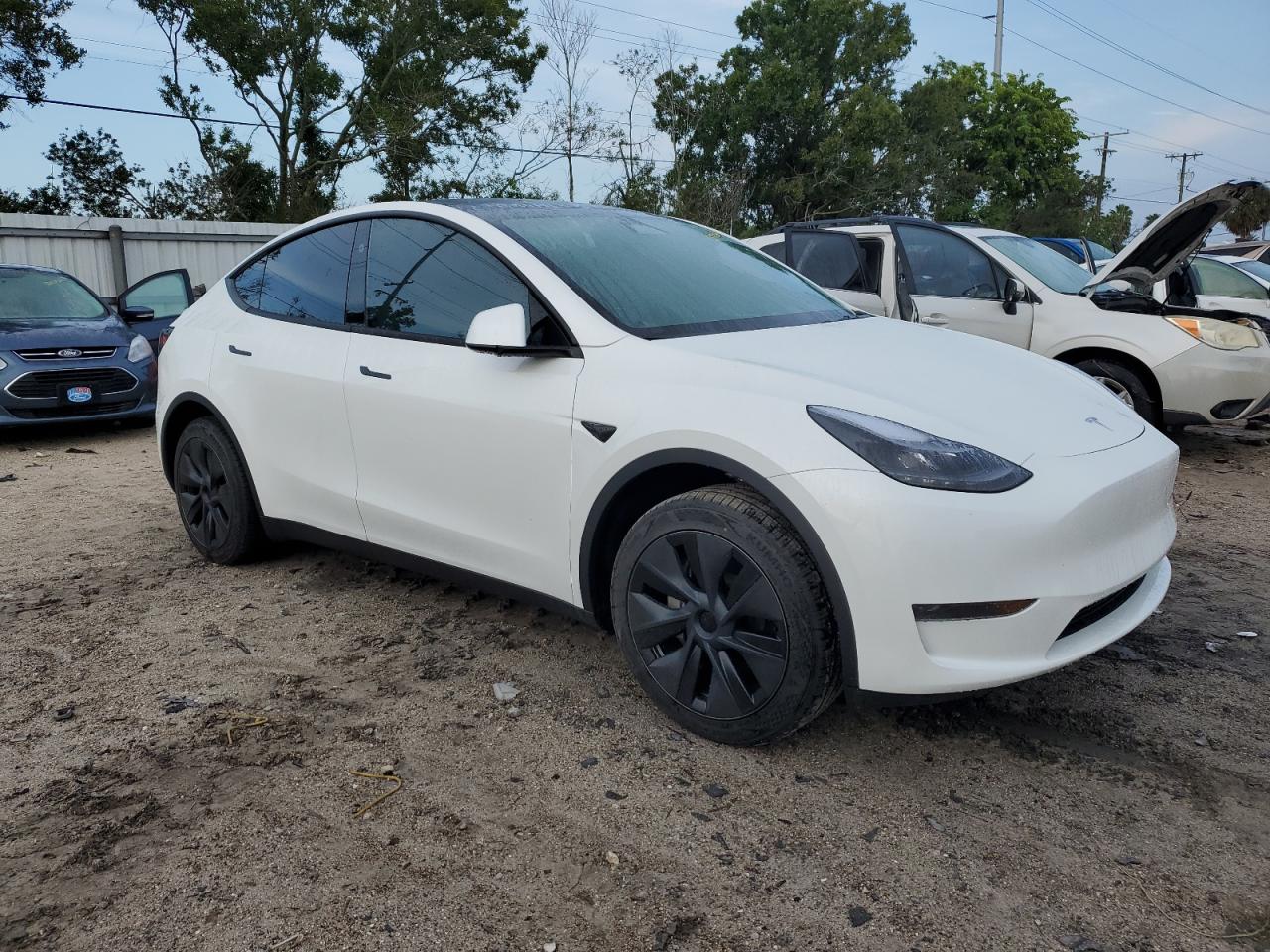 2024 TESLA MODEL Y  VIN:7SAYGDEDXRF129365